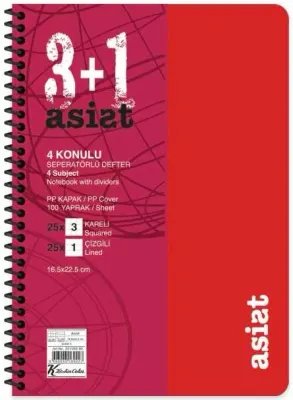 KESKİN DEFTER ASİST 16,5x22,5 AYRAÇLI 3+1 PP KAPAK 100 YP. 351563