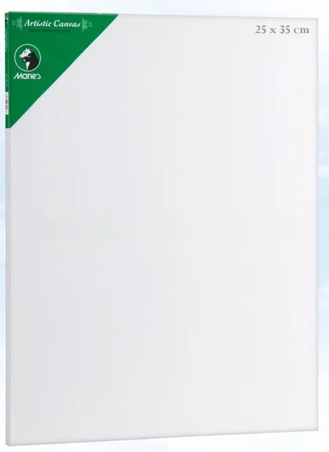 MARIES TUVAL CANVAS E5309 25x35 CM