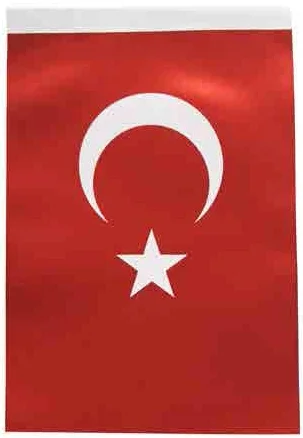 İNTER TÜRK BAYRAĞI B-011 50x200 CM