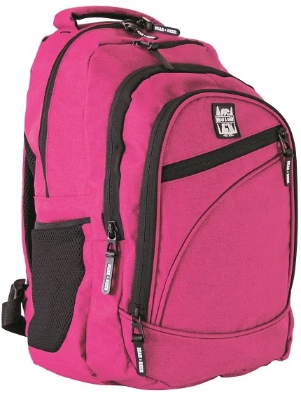 PASİF B&D SIRT ÇANTASI BIG BEAR PEMBE BD-CN0061