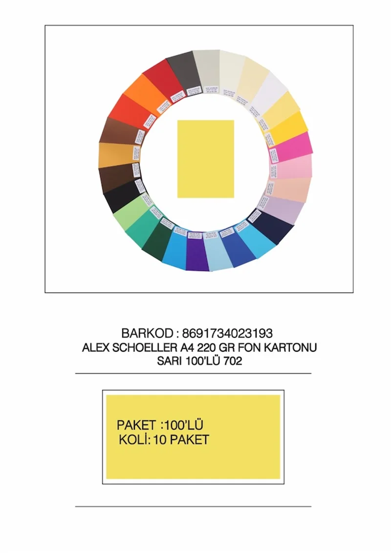 ALEX FON KARTONU 220GR A4 100 LÜ ALX-702