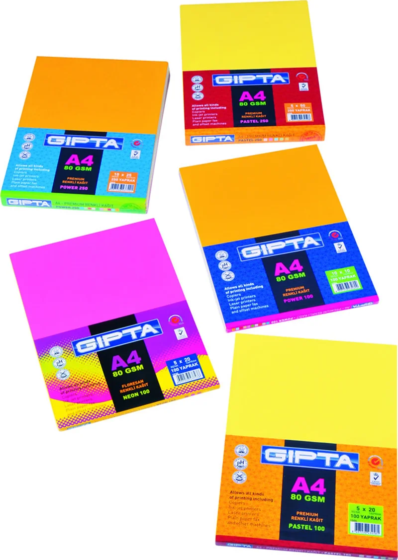 GIPTA FOTOKOPİ KAĞIDI RENKLİ A4 10 RENK 100 LÜ 1506