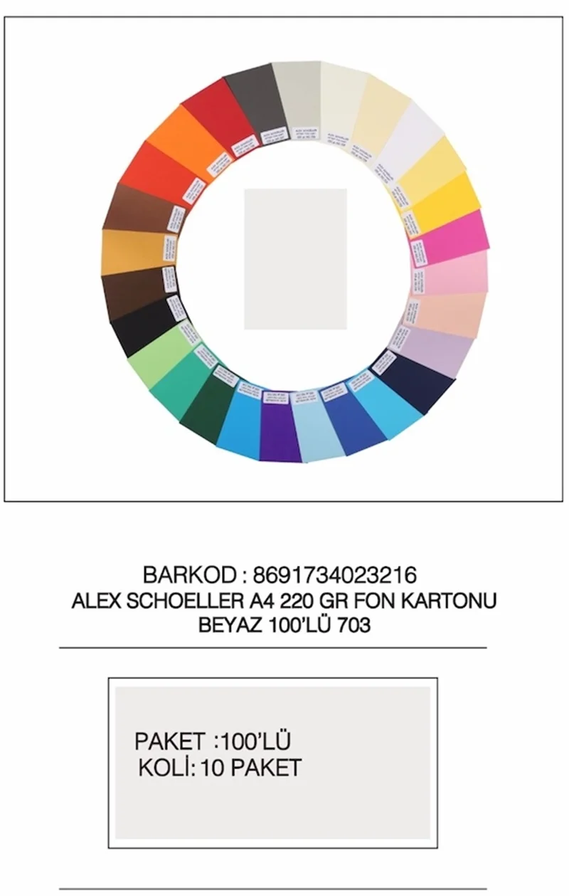 ALEX FON KARTONU 220GR A4 100 LÜ ALX-703