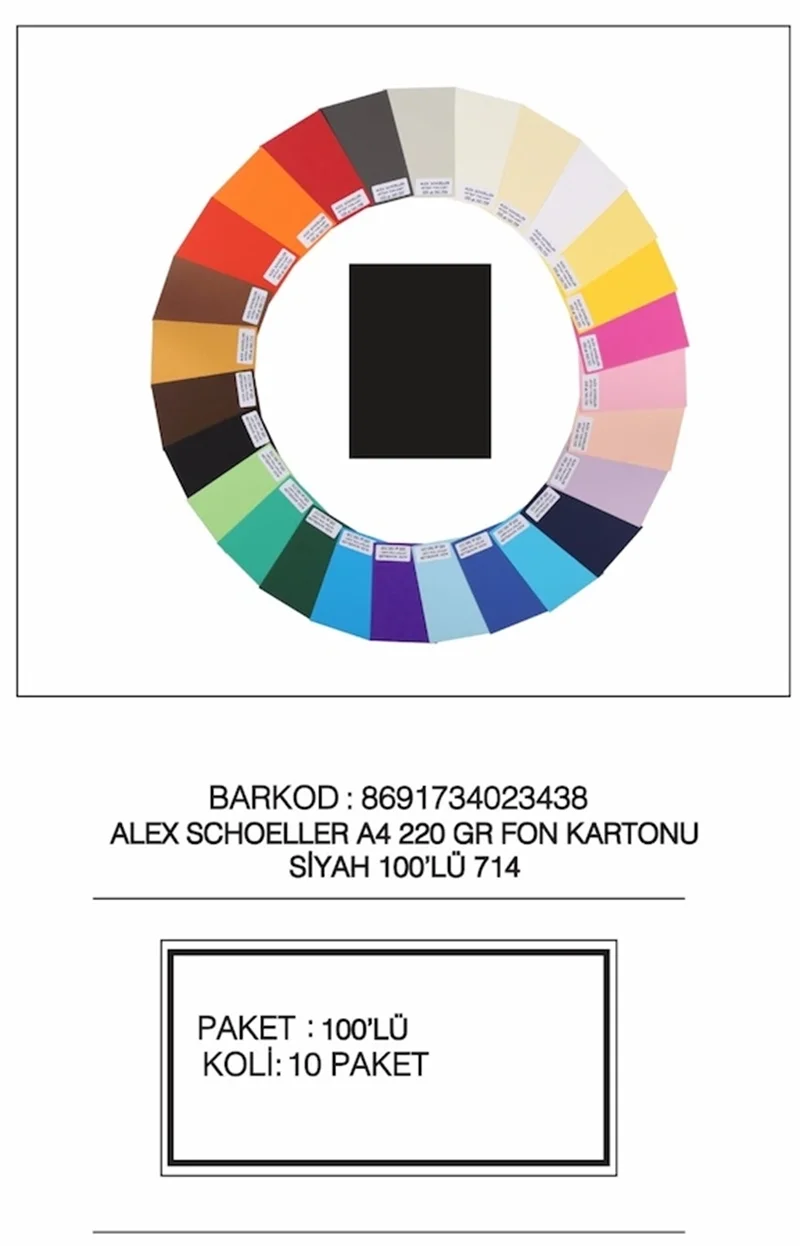 ALEX FON KARTONU 220GR A4 100 LÜ ALX-714