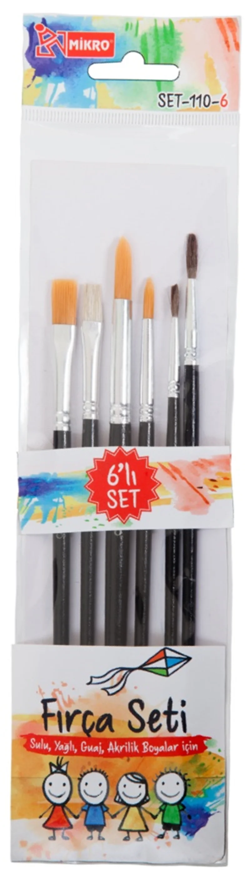 MİKRO FIRÇA SETİ MF-SET-110 10 LU