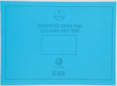 DİLMAN EGZERSİZ DEFTERİ PP KAPAK 20x28 24 YP 5329
