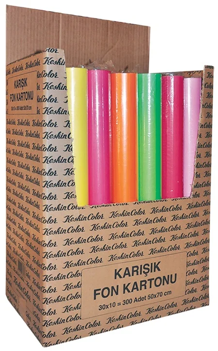 KESKİN FON KARTONU 50X70 110 GR 10 LU KARIŞIK 201302-99