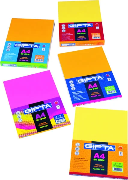 GIPTA FOTOKOPİ KAĞIDI PASTEL A4 10 RENK PASTEL 50 Lİ 1512