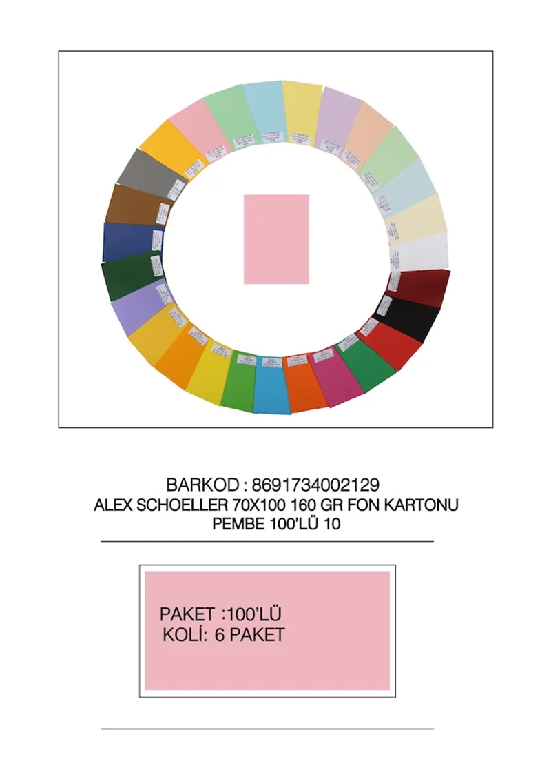 ALEX FON KARTONU 160GR 70X100 PEMBE 100 LÜ 10