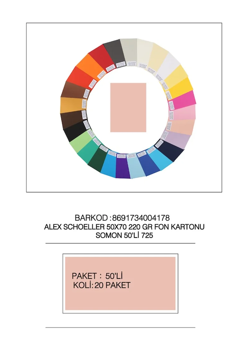 ALEX FON KARTONU 220GR 50X70 SOMON 50 Lİ 725