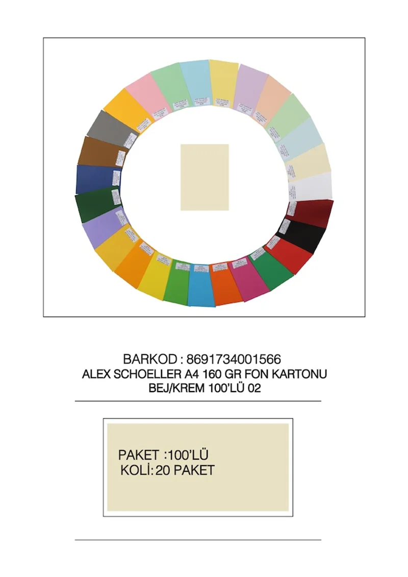 ALEX FON KARTONU 160GR A4 BEJ/KREM 100 LÜ 02