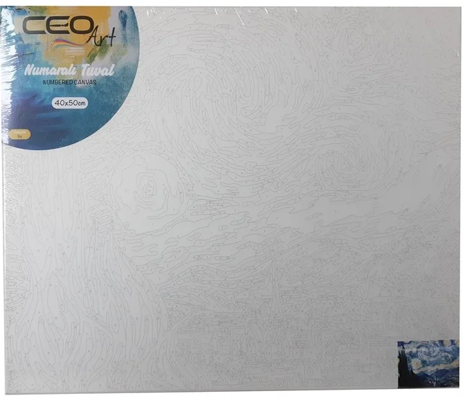 CEO ART TUVAL 40x50 NUMARALI GÖKYÜZÜ TN0003