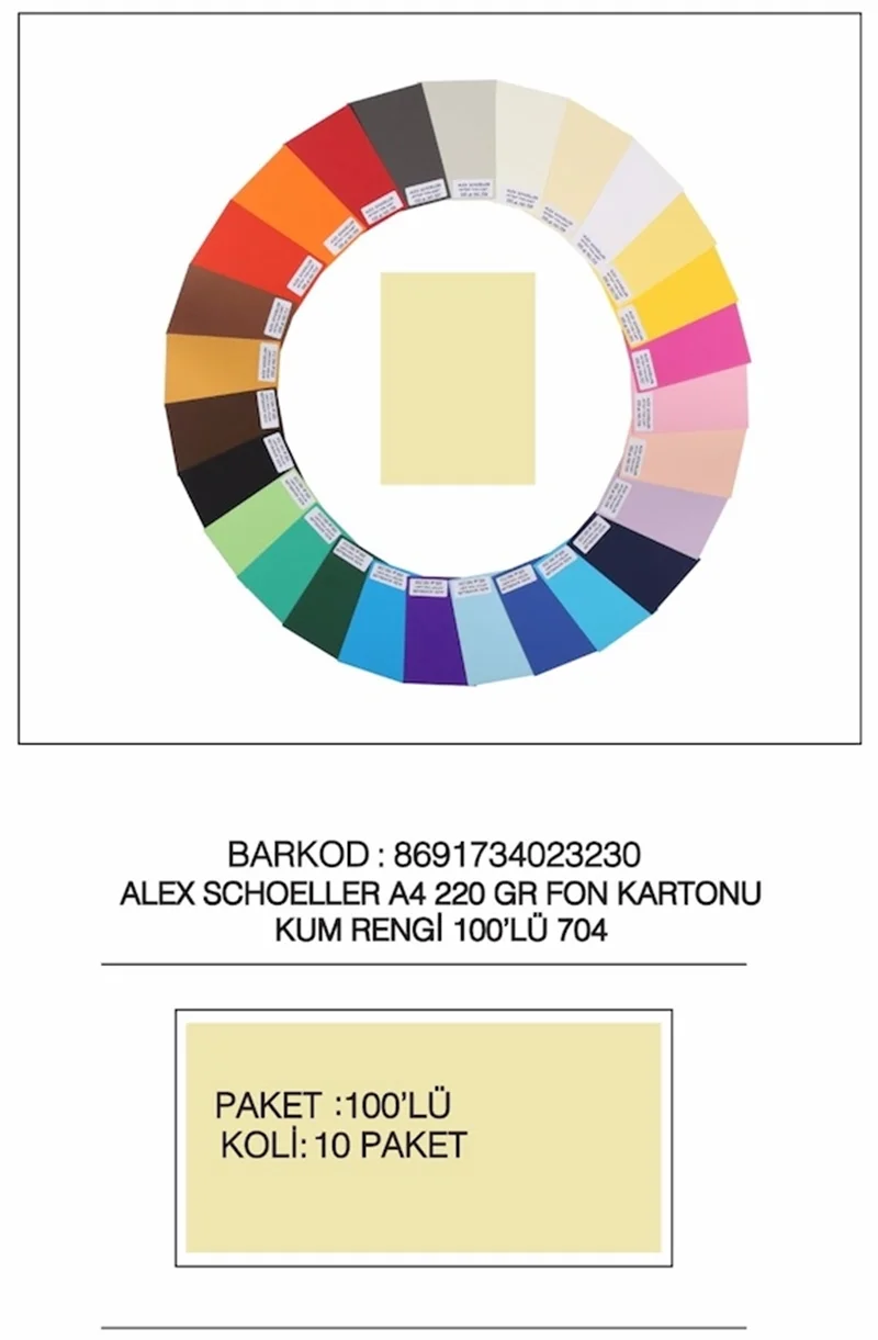 ALEX FON KARTONU 220GR A4 100 LÜ ALX-704