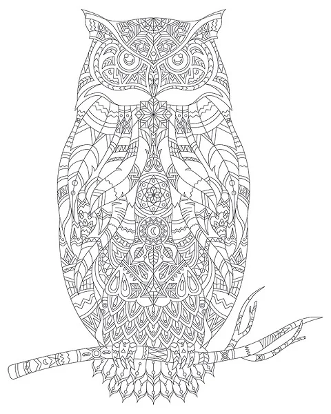 ARTDECO TUVAL DESENLİ 40x50 CM HAYVANLAR BAYKUŞ Y-100-P40.03