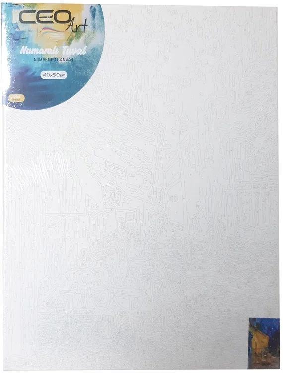 PASİF CEO ART TUVAL 40x50 NUMARALI SOKAK TN0002