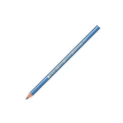 BİC EVOLUTION TRİANGLE ÜÇGEN KURŞUN KALEM 964845 (ÖZEL FİYAT)