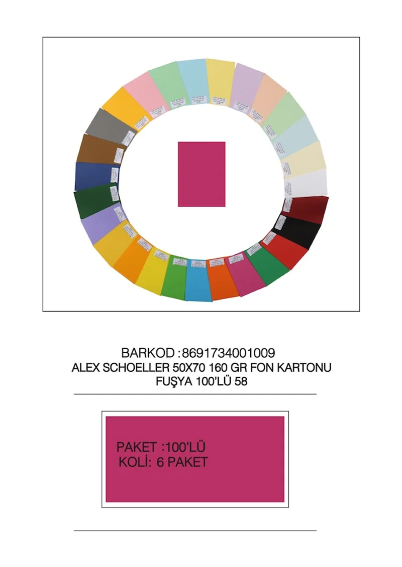 ALEX FON KARTONU 160GR 50X70 FUŞYA 100 LÜ 58