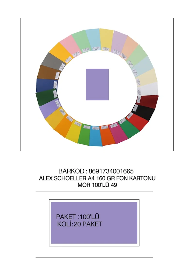 ALEX FON KARTONU 160GR A4 MOR 100 LÜ 49