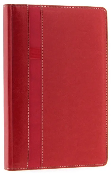 LİZ AJANDA 17x24 THERMO DERİ KALEMLİKLİ AJ7017