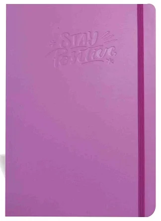 LİZ DEFTER 17x24 SOFT ESNEK FLX190Ç