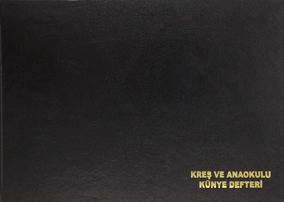 DİLMAN ANAOKULU KREŞ KÜNYE DEFTERİ CİLTLİ 96 YP 5311