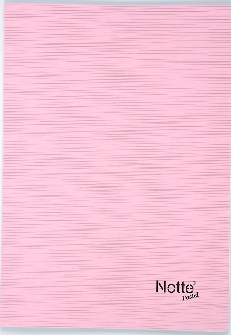 NOTTE DEFTER A4 PASTEL PP 100 YP KAR. 10-333