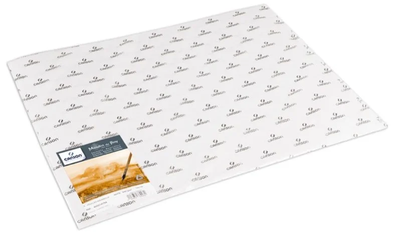 CANSON SULU BOYA KAĞIDI MOULIN DU ROY GT 56x76 640 GR 400014794