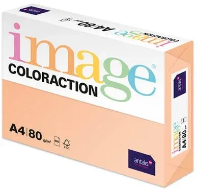 IMAGE FOTOKOPİ KAĞIDI A4 80 GR SOMON SAVANA
