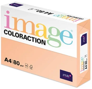 IMAGE FOTOKOPİ KAĞIDI A4 80 GR SOMON SAVANA