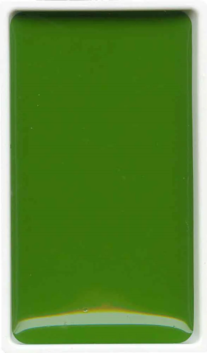 ZIG SULUBOYA GANSAI TAMBI TABLET MC21- 53 SAP GREEN