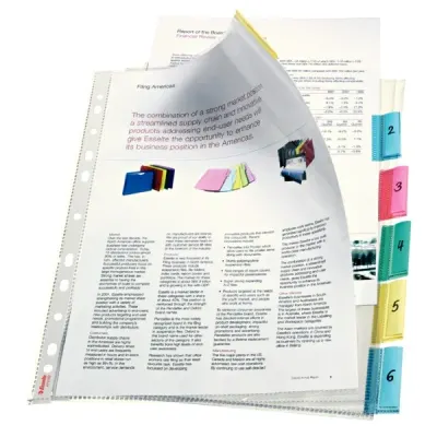 ESSELTE POŞET DOSYA AYRAÇLI 6SY 414160