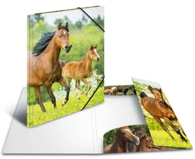 HERMA LASTİKLİ DOSYA A4 PP ATLAR 7140