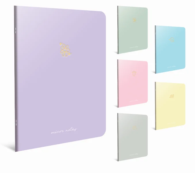 GIPTA DEFTER MICRO NOTES 13x21 TEL DİKİŞ KARTON KAPAK 60 YP. KARELİ 6461