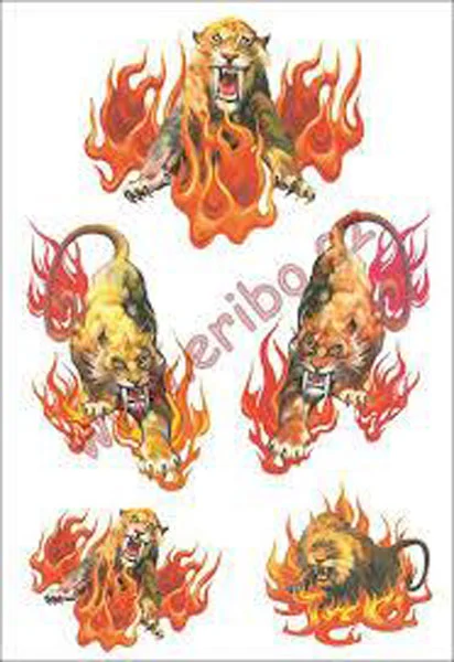 HERMA ETİKET TATTOO YOUNG LINE RENKLİ VAHŞİ KAPLANLAR 6214