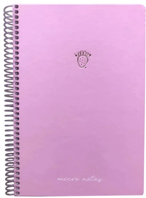 GIPTA DEFTER MICRO NOTES 17x24 SPİRALLİ SERT KAPAK 100 YP. ÇİZGİLİ 6447