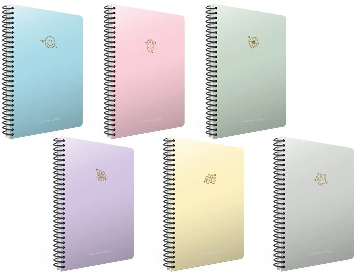 GIPTA DEFTER MICRO NOTES 17x24 SPİRALLİ SERT KAPAK 100 YP. KARELİ 6448