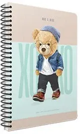 GIPTA DEFTER XOXO 17x24 SPİRALLİ SERT KAPAK 120 YP. ÇİZGİLİ 6266