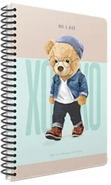 GIPTA DEFTER XOXO 17x24 SPİRALLİ SERT KAPAK 120 YP. ÇİZGİLİ 6266