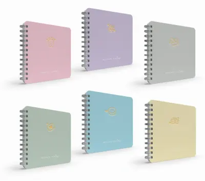 GIPTA DEFTER MICRO NOTES 17x24 SPİRALLİ SERT KAPAK 100 YP. DÜZ 6455