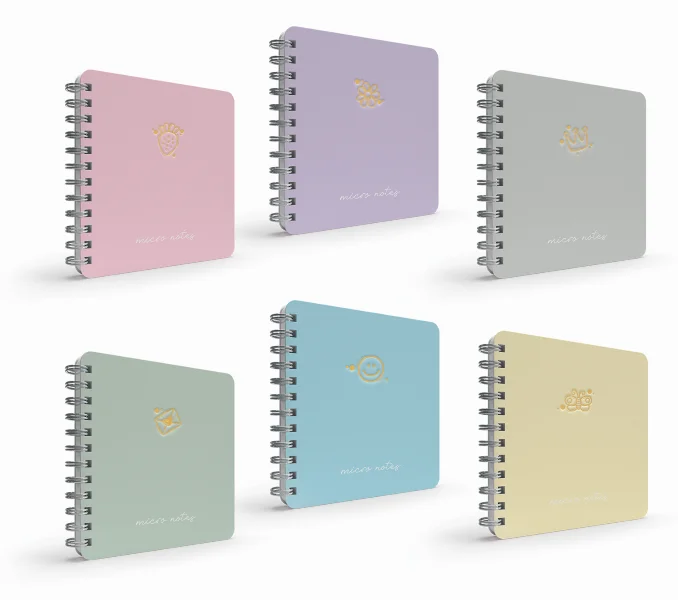 GIPTA DEFTER MICRO NOTES 17x24 SPİRALLİ SERT KAPAK 100 YP. DÜZ 6455