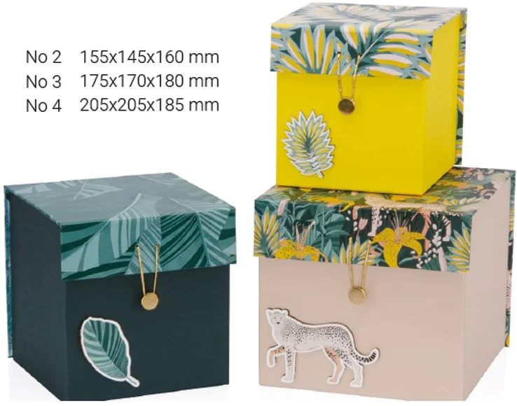 GIPTA KUTU SETİ 3 LÜ TROPICAL DİK BOY BX66710