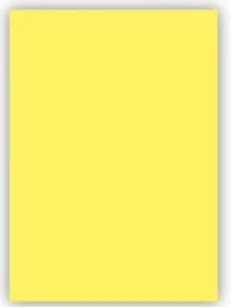 KESKİN FON KARTONU 50X70 HAMURDAN BOYALI 160GR AÇIK SARI 202113