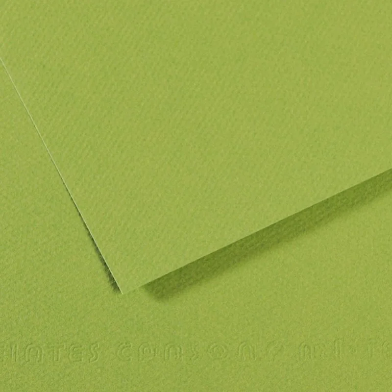 CANSON FON KARTONU MI-TEINTS A4 160 GR ( 50 Lİ PAKET ) APPLE GREEN 475 200321674
