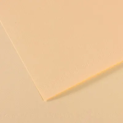 CANSON FON KARTONU MI-TEINTS 50x65 160 GR ( 25 Lİ PAKET ) FİL DİŞİ 111 200321334
