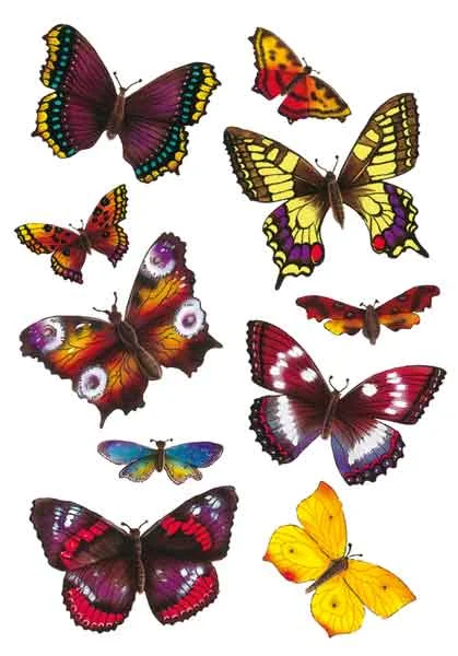 HERMA ETİKET MAGIC RENKLİ KELEBEKLER 6388