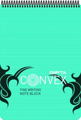 GIPTA BLOKNOT CONVEX A4 SPİRALLİ PP KAPAK 100 YP. KARELİ 1394