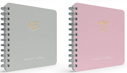 GIPTA DEFTER MICRO NOTES 16x16 SPİRALLİ SERT KAPAK 100 YP. KARELİ 6440