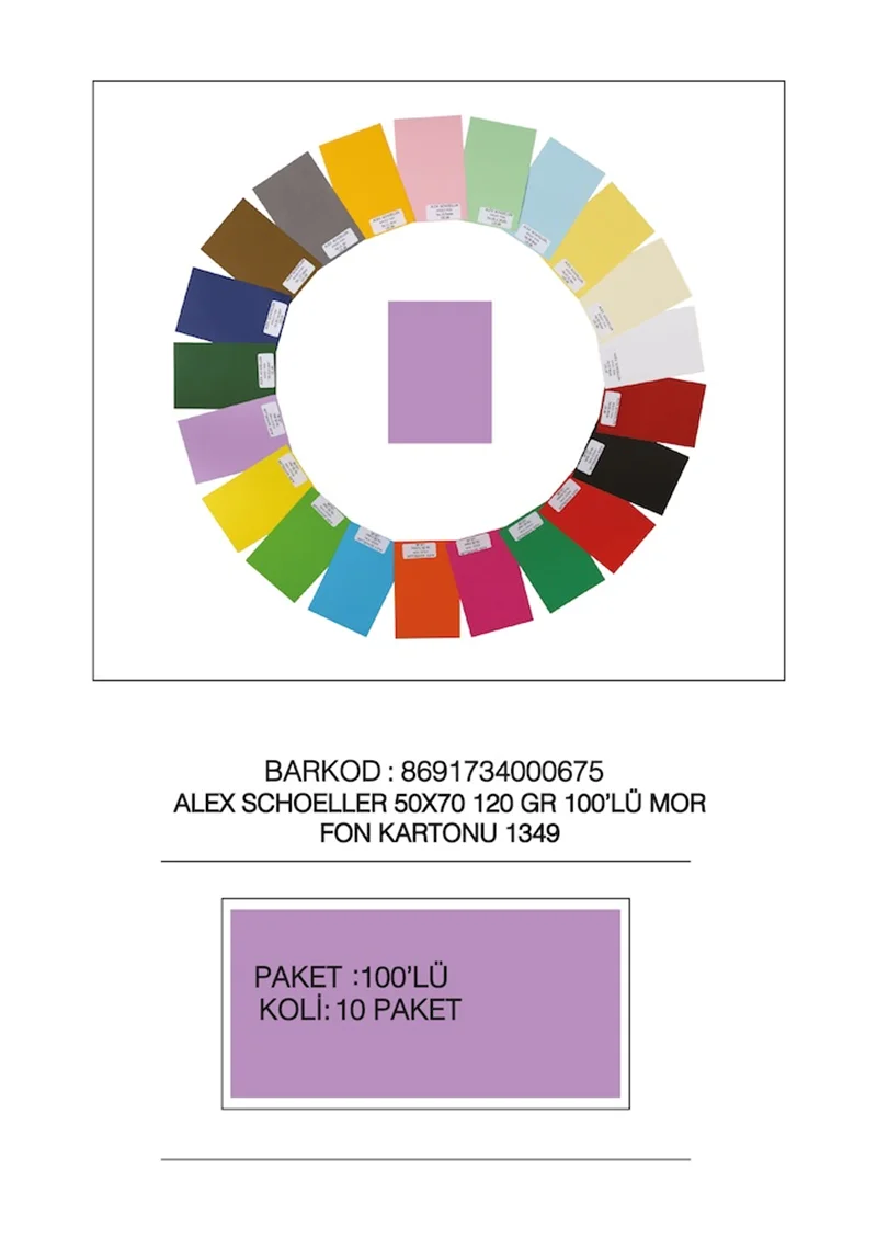 ALEX FON KARTONU 120GR 50X70 MOR 100 LÜ 49