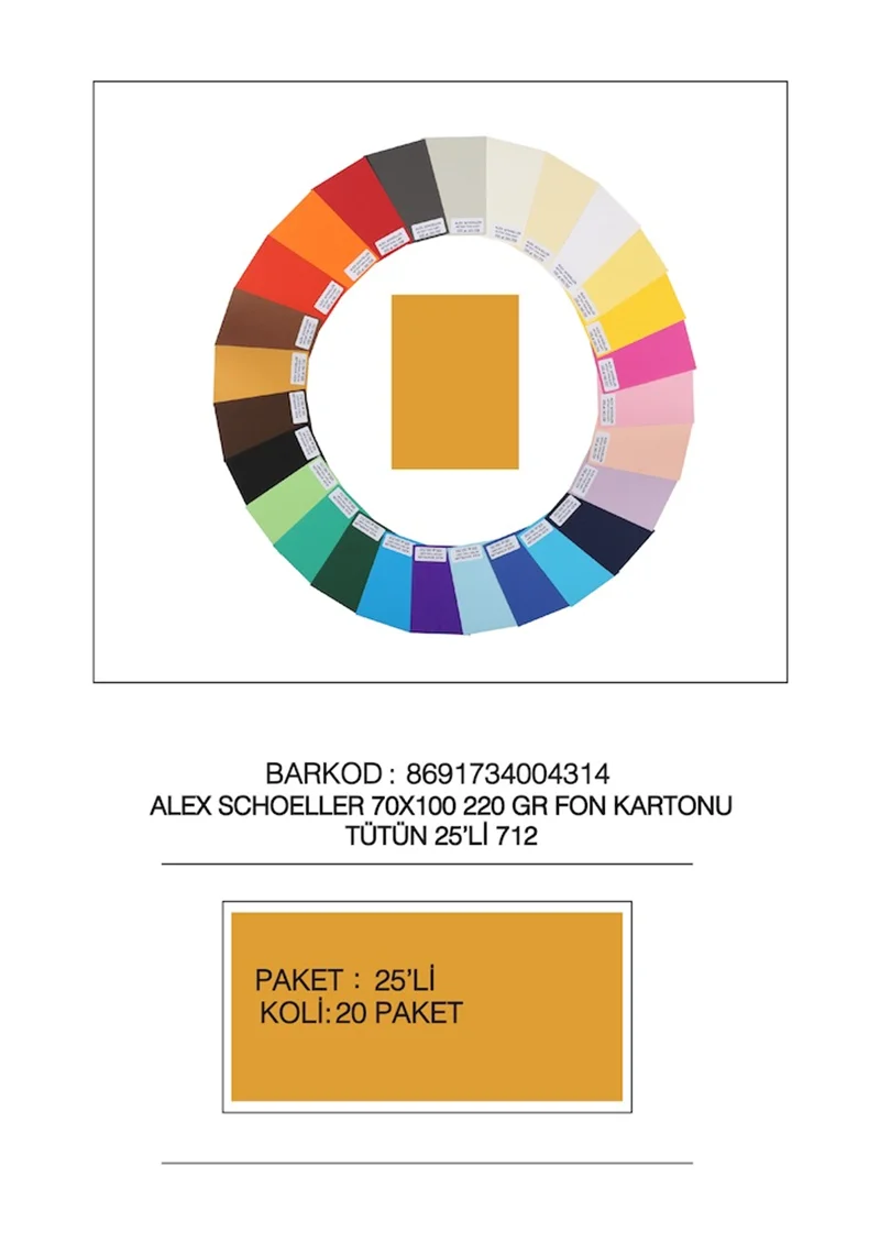 ALEX FON KARTONU ARTİST 220GR 70X100 TÜTÜN 25 Lİ 712