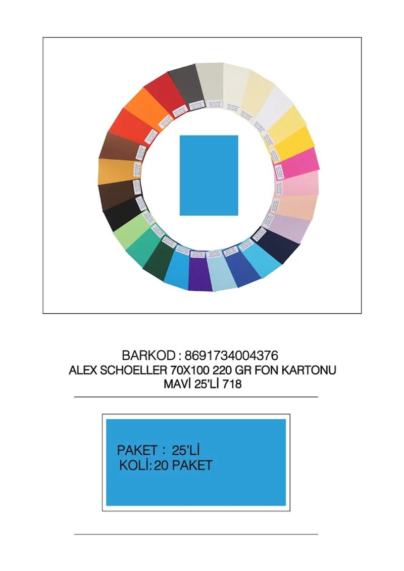 ALEX FON KARTONU ARTİST 220GR 70X100 MAVİ 25 Lİ 718